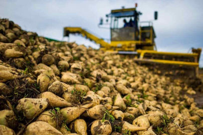 TÜRKŞEKER'den Eskişehirli Pancar Üreticisine Ödeme
