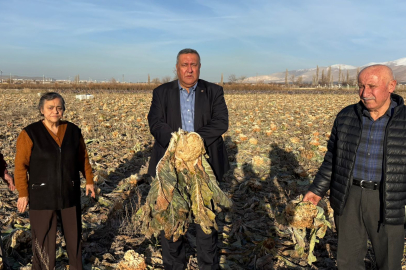 CHP'li Gürer: "Emek Tarlada Kaldı"