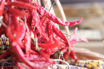 Eskişehir'de Yerel Tohum Takas Günleri Başlıyor