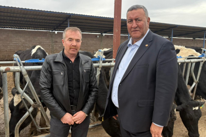 Son Beş Yılda 4 Milyon Sığır ve 112 Bin İşletme Yok Oldu