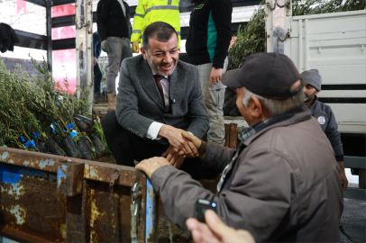 Honazlı Üreticiye 4 Bin 236 Zeytin Fidanı