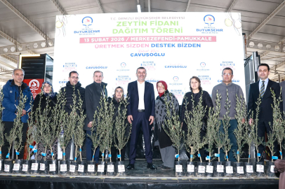 Denizli Büyükşehir’den Üreticiye 84 Bin Sertifikalı Zeytin Fidanı