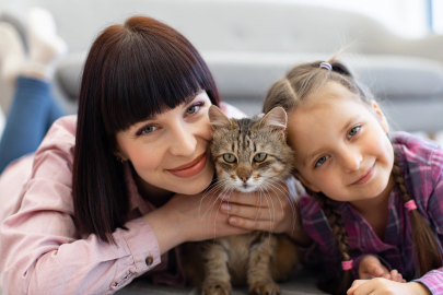 Dünyada 600 Milyondan Fazla, Türkiye’de ise Yaklaşık 10 Milyon Kedi İnsanlarla Birlikte Yaşıyor