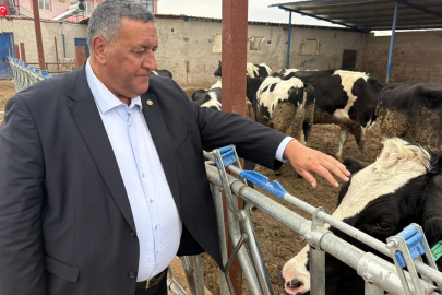 Gürer: "Üretici Ayakta Kalma Mücadelesi Veriyor"