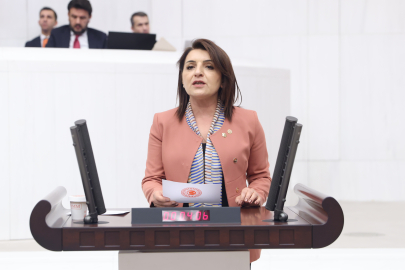 Çeyrek Asırda Sanayi ve Tarım Ayağa Kalkardı, Siz Sattınız