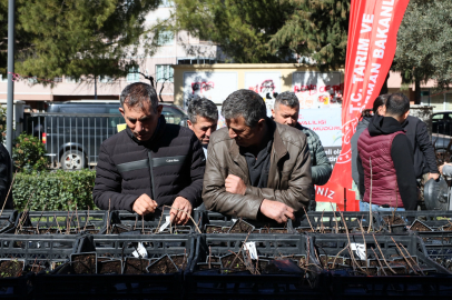 Üzümsü Meyve Fidan Dağıtım Etkinliği Gerçekleştirildi