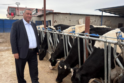 Gürer: "Köyler Değişiyor, Hayvancılıkta Dertler Aynı"