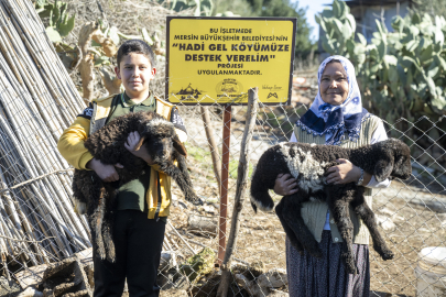 Kuzular Arttıkça Çiftçinin Yüzü Gülüyor