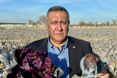 2025 Yılı Üretim Kaybı Rafa Zam Olarak Yansıdı