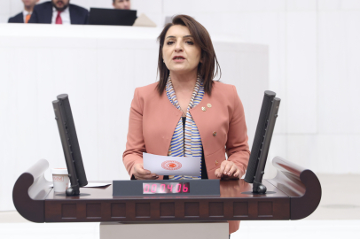 CHP’li Gülcan Kış: ''Doğayı Değil, İhmali Sorguluyoruz''