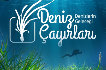 Milyar Dolarlık Ekolojik Tehdit!