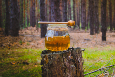 Türk Çam Balı, Manuka Balının Tahtına Göz Dikti