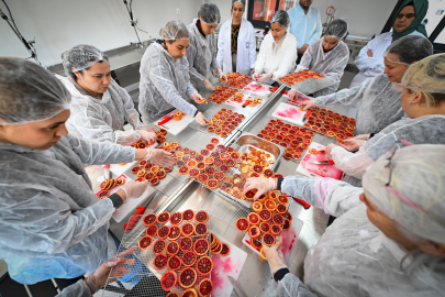 Coğrafi İşaretli Kan Portakalı Kadın Emeği İle Geleceğe Taşınıyor