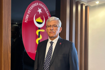 Yaban Hayatını Korumak Yaşamın Kendisini Korumaktır