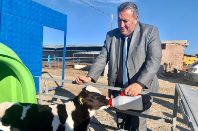 Bakanlığın Yok Dediği Süt Tozu İthalatına TÜİK Var Dedi