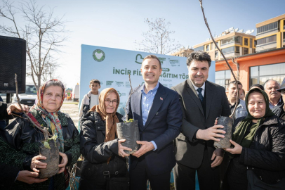 Balıkesirli Üreticilere Yüzde 100 Hibeli İncir Fidanı Desteği