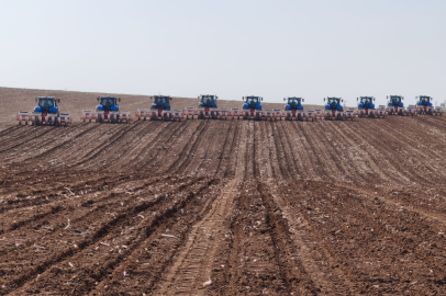 Ceylanpınar'da Mısır Ekilişleri Tamamlandı
