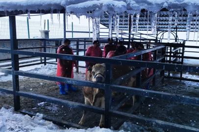 Kars VHO'dan Dondurucu Soğukta Kesintisiz Eğitim