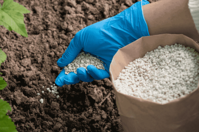 Tarımsal Üretimde Sahte Gübre Tehdidi!