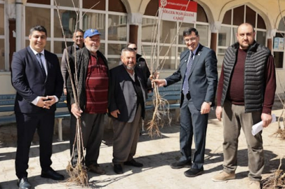 Kütahya'nın Yerel Kiraz Türleri Toprakla Buluşuyor