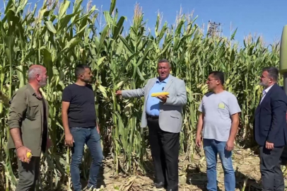 Çiftçiden Ucuza Alındı, İthal Ürün Pahalıya Satıldı