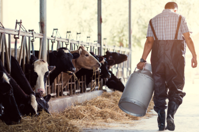 Süt Üreticilerinden Belirsizlik İsyanı