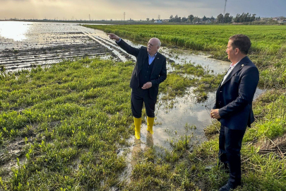 TZOB Başkanı Bayraktar: "Çiftçinin Yaraları Sarılmalı"