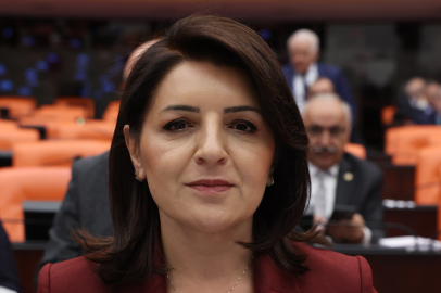 Vatandaş İcralık, İktidar Seyirci