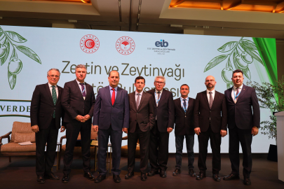 Zeytinyağı Sektörü Doğru Rekolte Çalışması ve AB’den Kota İstiyor