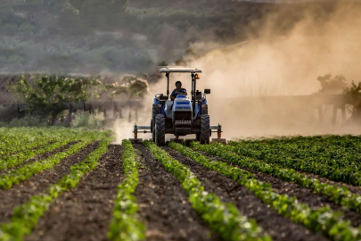 Desteklemeler Ödeniyor