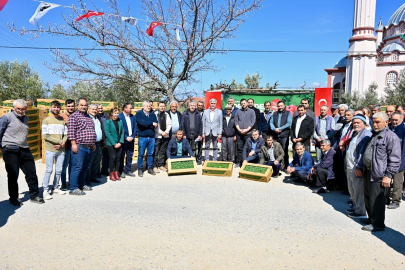 Gördesli Üreticiye 73 Bin Domates Fidesi