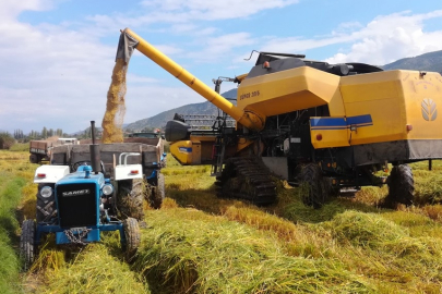 Pirinçte İthalat Patlaması!