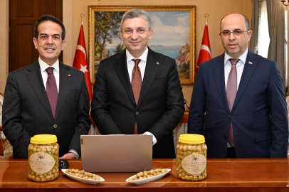 Tavşan Yüreği Zeytini İçin AB Başvurusu Yapıldı