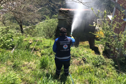 Trabzon’da Kahverengi Kokarca Seferberliği: Büyükşehir’den Tam Destek!