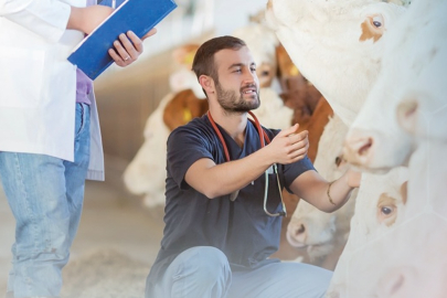 "Veteriner Danışmanlık Hizmeti" Projesinde Yeni Dönem