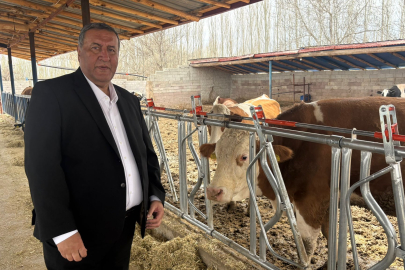 Süt İnekleri Kesime mi Gidiyor? Üretici Tarih Vererek Uyardı!