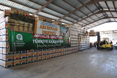 Antalya’da Arıcılığa Destek:Üreticilere 1200 Arı Kovanı Hibesi