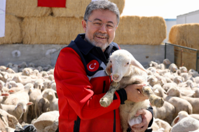 Bakan Yumaklı’dan Küçükbaş Hayvancılık Müjdesi: 100 Hayvan ve Yıllık 180 Bin TL Destek!