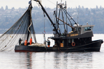 Hamside 245 Bin Tonla Rekor Bereket!