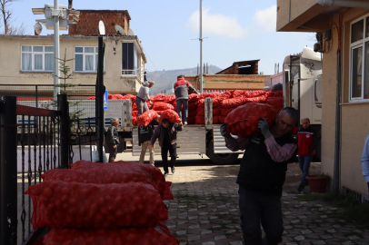 Ordu’da Altı İlçede 45 Ton Tohumluk Patates Dağıtıldı!