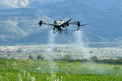 Aydın'da Tarlalar Drone İle Ücretsiz Gübreleniyor