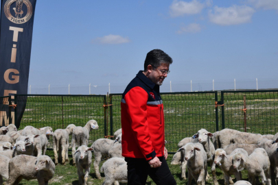 Bakan Yumaklı Polatlı’dan Müjdeyi Verdi: Küçükbaş Hayvan Sayısı 58 Milyon Başa Ulaştı!