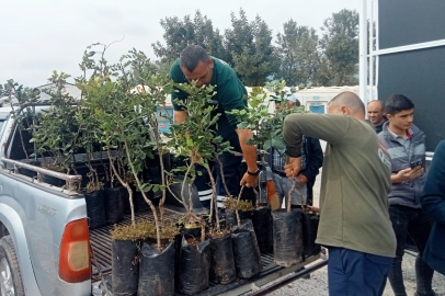 Büyükşehir’den Alanya’nın Coğrafi İşaretli Keçiboynuzuna Destek