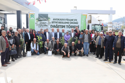 Anamur’da Avokado Fidanları Toprakla Buluşuyor