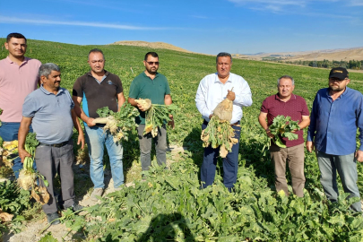 Çiftçi Borcu 55 Aydır Kesintisiz Artıyor!