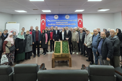 Giresun'da Yüzde 75 Hibeli Domates Fidesi Dağıtımı Başladı