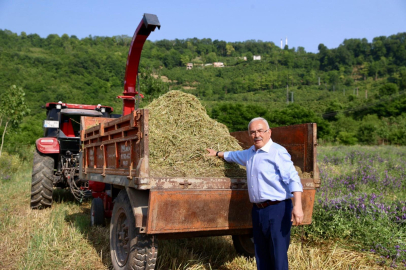 Ordu’da Tarım Devrimi: 34 Bin 800 Dekar Atıl Arazi Ekonomiye Kazandırıldı
