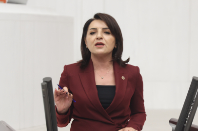 CHP'li Kış: "Bu Ülkenin Çiftçisi Üretirken Neden İthalat Yapılıyor?"