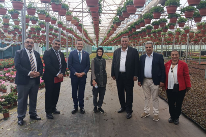 Anneler Günü Öncesi Çiçek Seralarında Yoğun Mesai