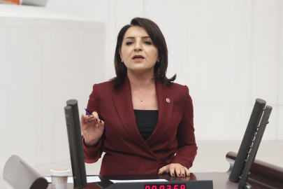 CHP'li Kış: "Türkiye Tarım Ülkesiydi, İthalat Ülkesine Dönüştürüldü"